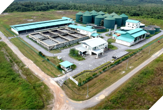 <b>Environmental Infrastructure</b><br> Biogas and Wastewater Treatment Plant for the Livestock Farming Area, Samarahan, Sarawak 