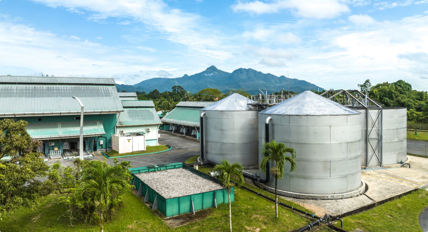 Environmental Management Services